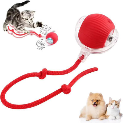 Durable Interactive Cat Toys for Indoor Cats, Dog Toys Ball, Rolling Pet Ball, Smart Automatic Cat Chase Balls Toy, Interactive Dog Toys Speedy Tail,Kitten & Cat Toys Interactive (Red)